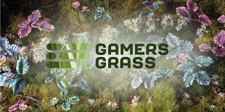 Gamers Grass