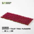 Gamers Grass Garnet Tulip Tiny Flowers