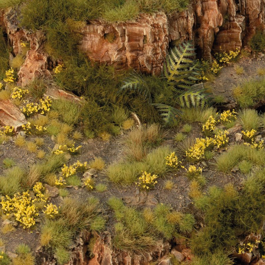 Gamers Grass Dandelion Tiny Flowers
