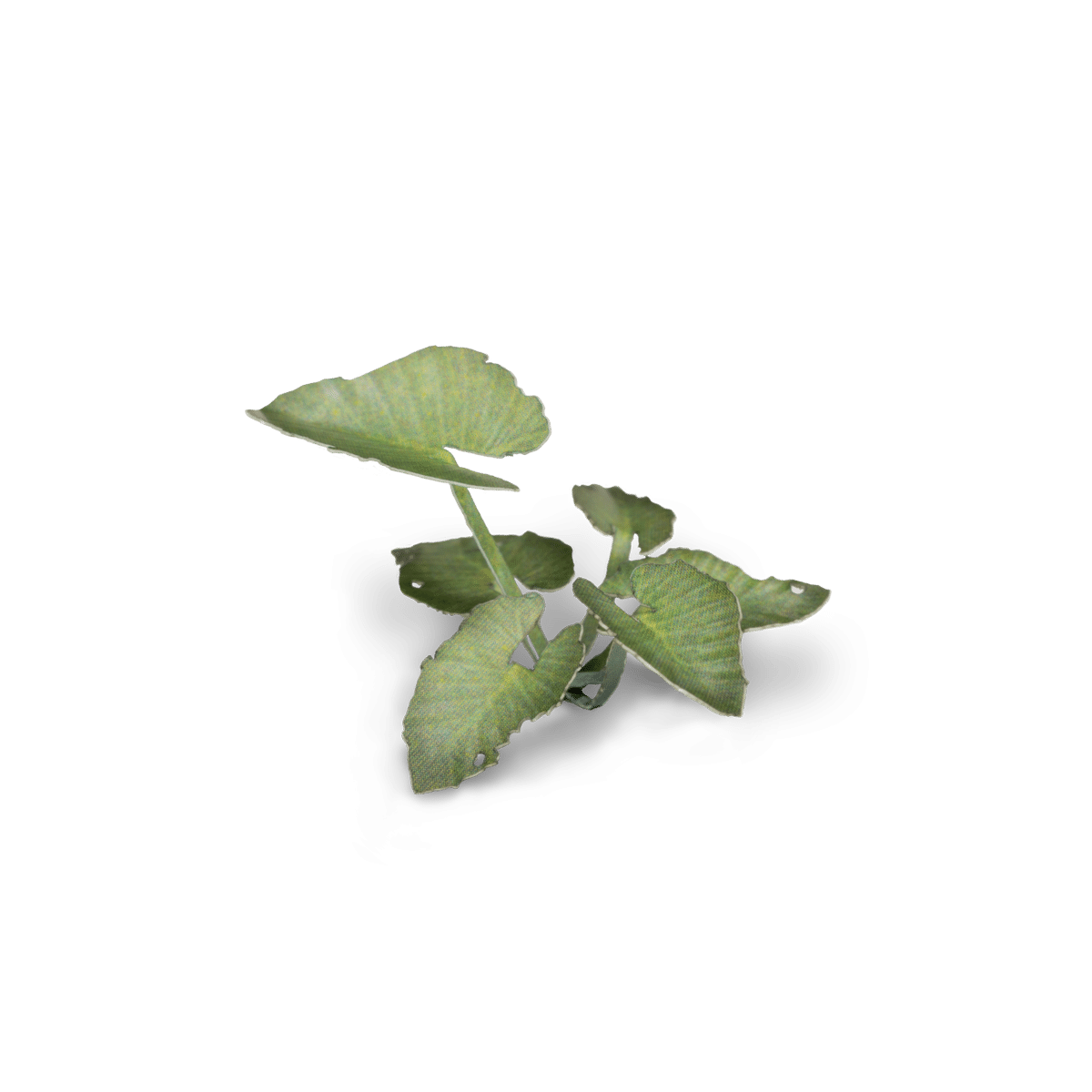 Gamers Grass Static Tuft Laser Plants - Elephant Ear