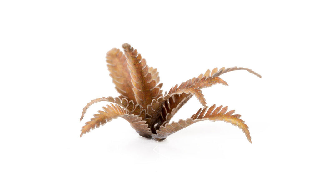 Gamers Grass Static Tuft Laser Plants - Deer Fern