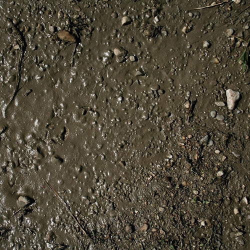 AK Interactive terrains wet ground 250ML