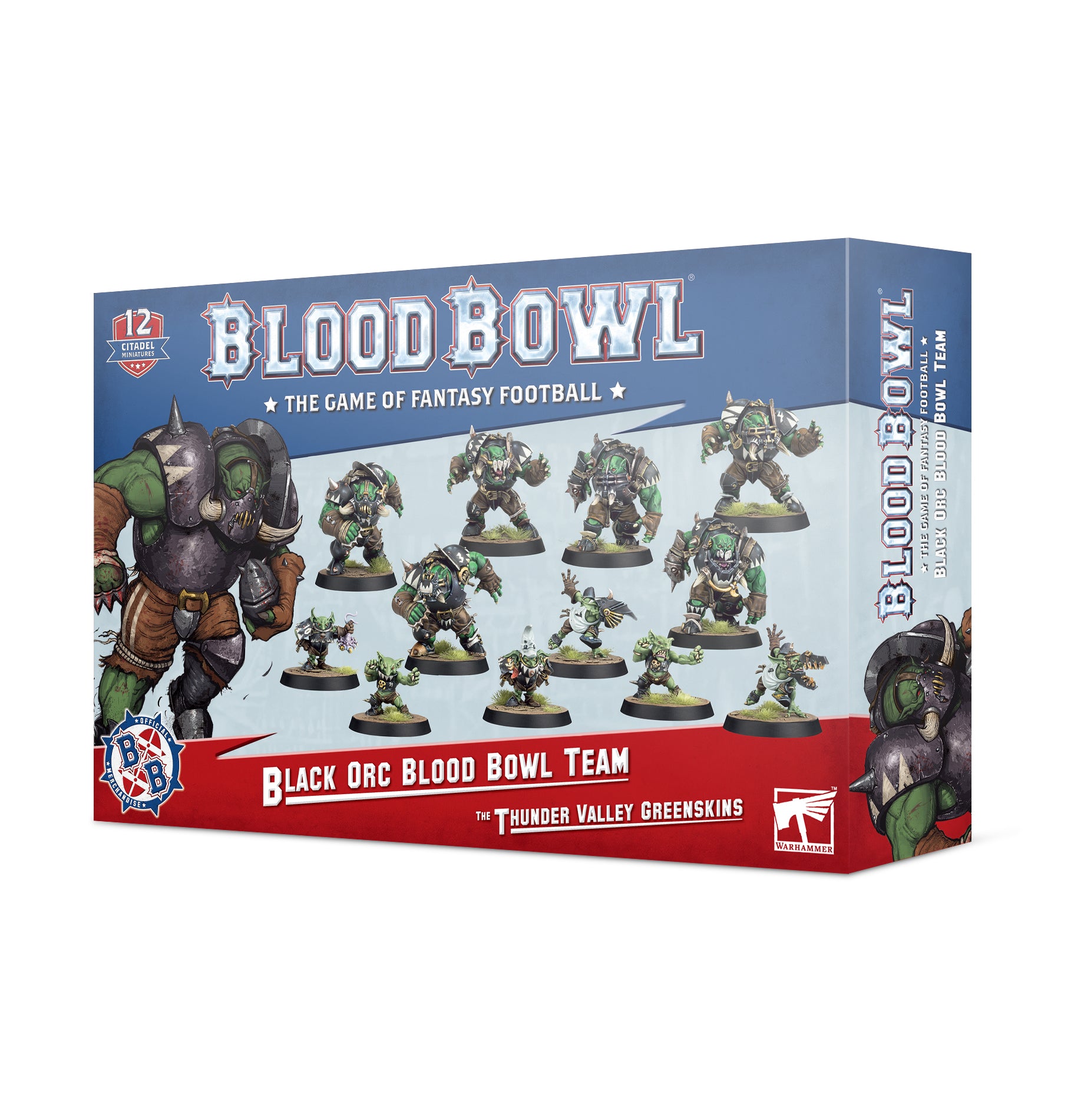 Black Orc Blood Bowl Team: The Thunder Valley Greenskins
